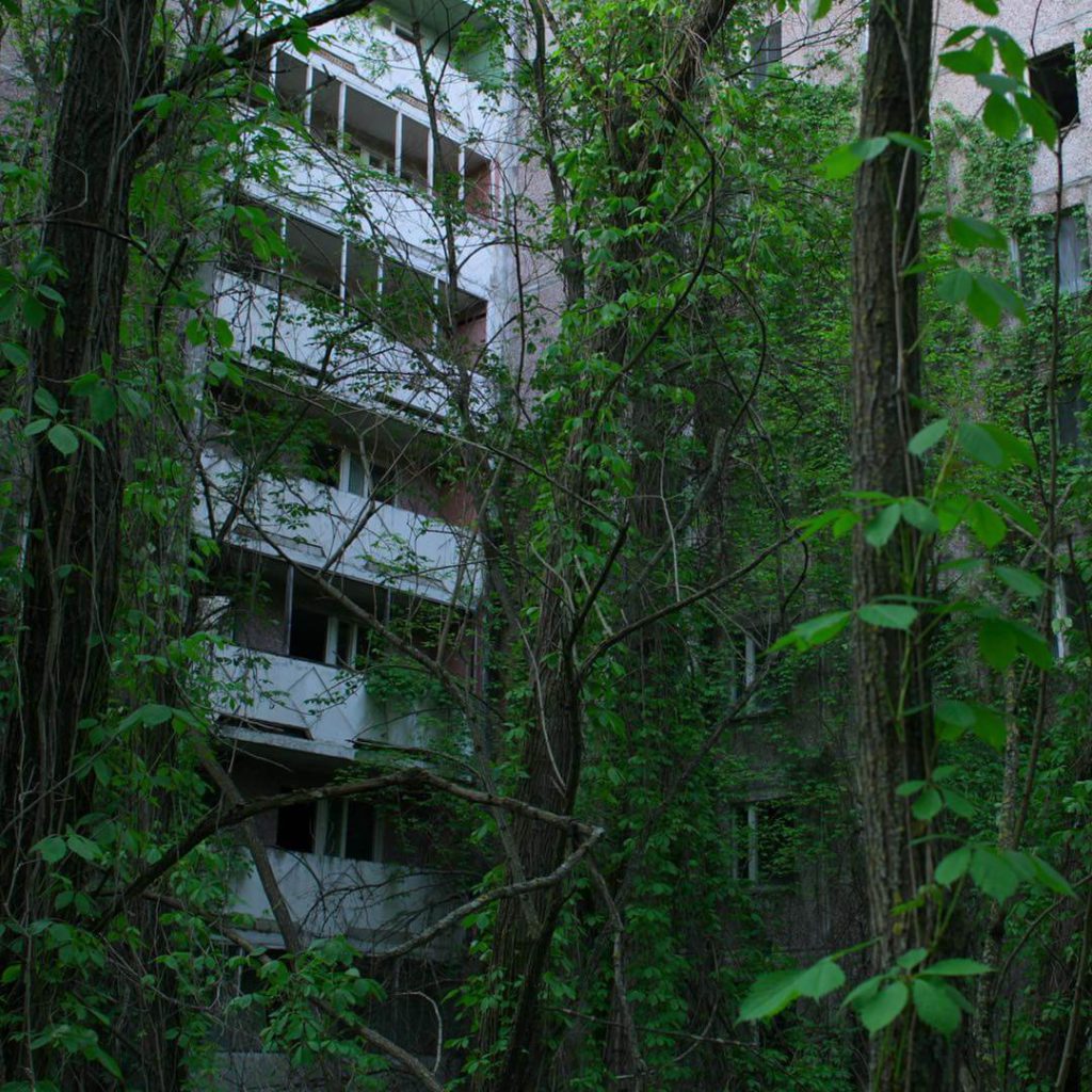 natureza crescendo sobre prédios da cidade fantasma de Chernobyl.